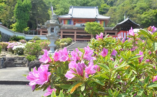 ⑧地域活性化や移住・定住に関すること