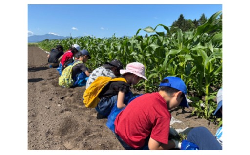 （１）農業・商工業の振興に関する事業