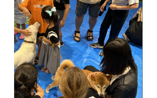 「全ての犬・猫の殺処分数ゼロ」の新たな領域へ