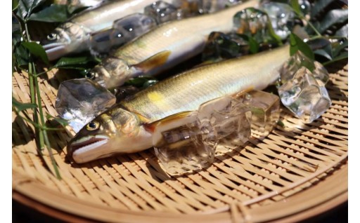 6．産業応援プロジェクト