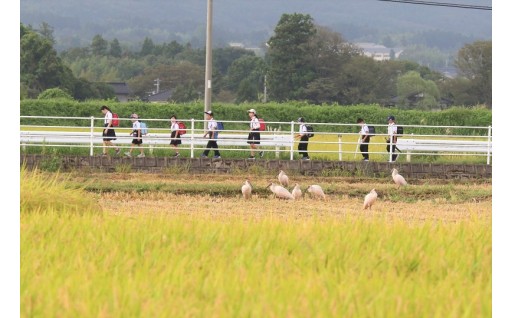 ⑧トキと暮らす環境の島づくり応援コース