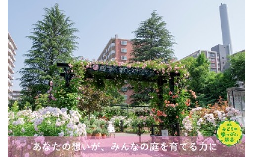 練馬みどりの葉っぴい基金
四季の香ローズガーデン開園10周年記念プロジェクト