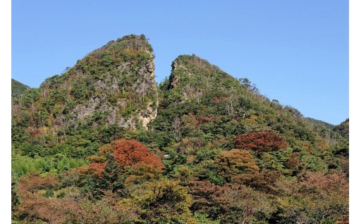 ③世界文化遺産「佐渡島の金山」応援コース