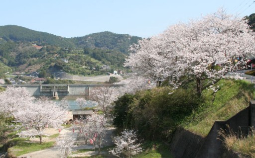 4.地域の活性化、産業振興、観光事業の充実