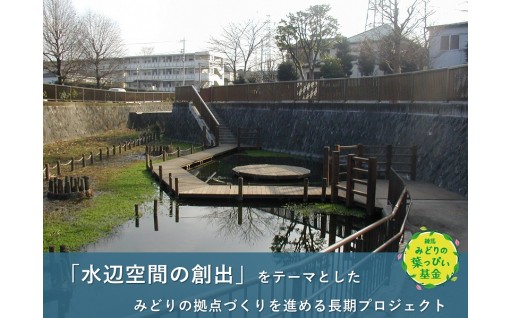 練馬みどりの葉っぴい基金
大泉井頭公園コース（区民の森プロジェクト）