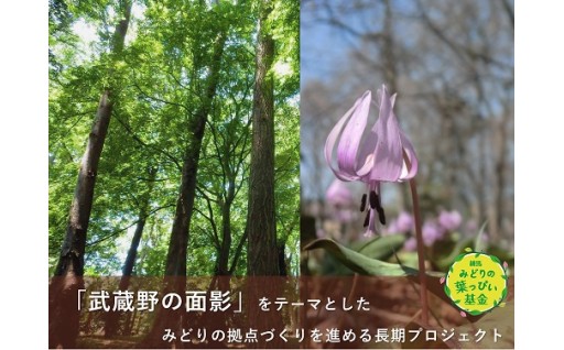 練馬みどりの葉っぴい基金
稲荷山の森コース（区民の森プロジェクト）