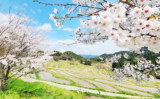 （３）自然と共生する安心・安全なまちづくりのために