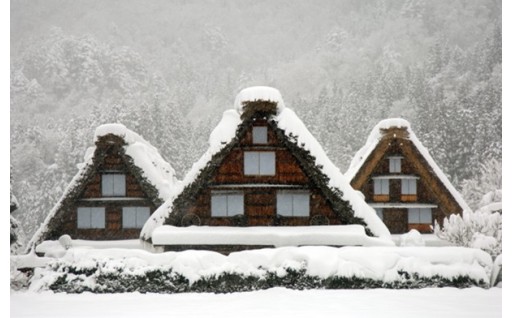 11.持続可能な観光地域づくりの推進
