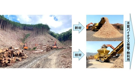 10.「木の国・山の国」の産業振興、新たなクリーンエネルギーの創出