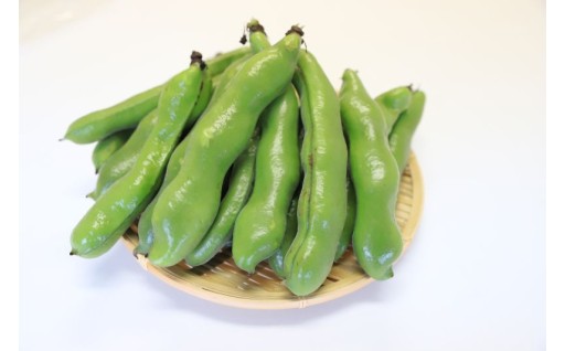 3. 豊かな地域資源を生かして魅力を高めるまちづくりに関する事業