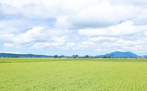（２）地場産業の振興