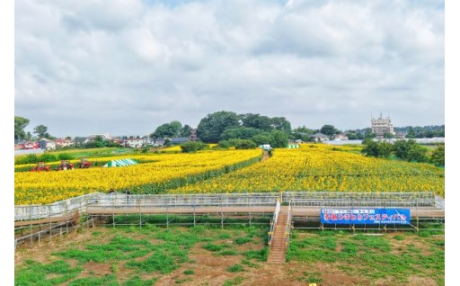 4. 地域経済の活性化、まちの魅力発信等による活気があふれるまちづくりに関する事業