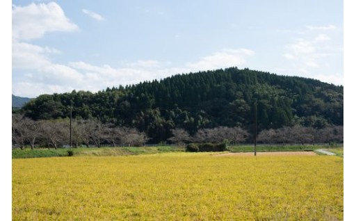 （6）自然と共生するまちづくり