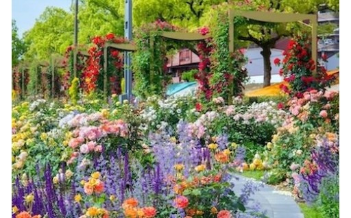 世界一のばらのまち福山に向けて