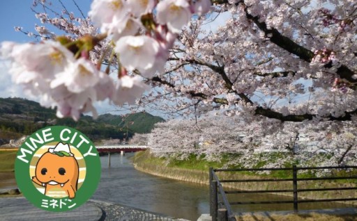 市長にお任せする