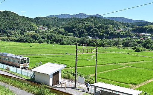 自然と調和した快適なまちづくり【都市基盤・自然環境】