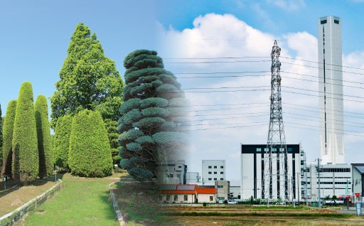 多種多様な産業振興に関する事業