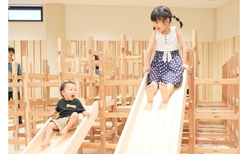 4.「やま・森」と琵琶湖をつなぐ「しが木育」を応援しよう