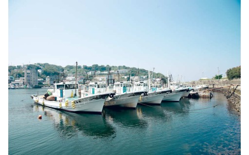 海と自然の環境保全応援プロジェクト