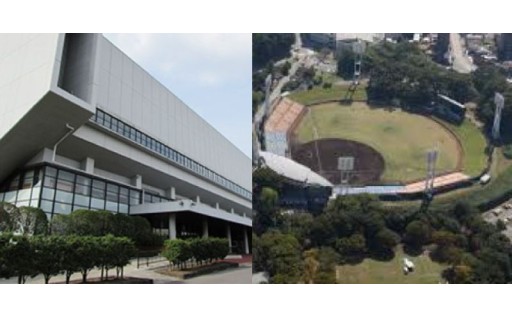 「スポーツ応援分」