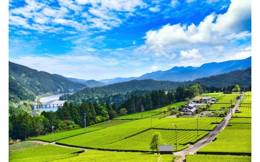 農林業・商工業施策の展開