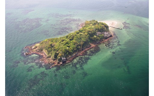 未来につなぐ環境を守るまちづくり