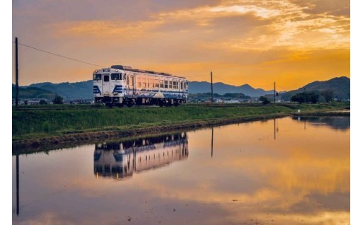 公共交通の維持や整備