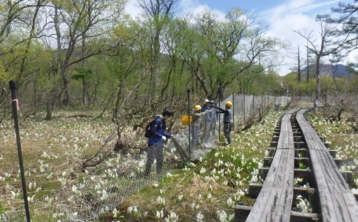 尾瀬の自然保護