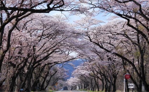 秋保・広瀬・大沢・根白石地域活性化サポーター