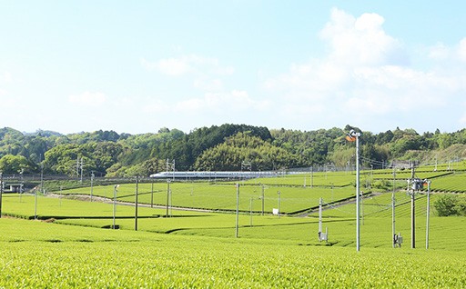 ⑥使途指定しない