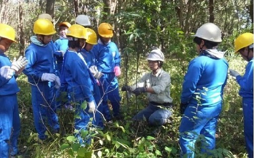 ぐんま緑の県民基金（ぐんま緑の県民基金積立）