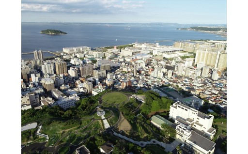 市政全般に活用