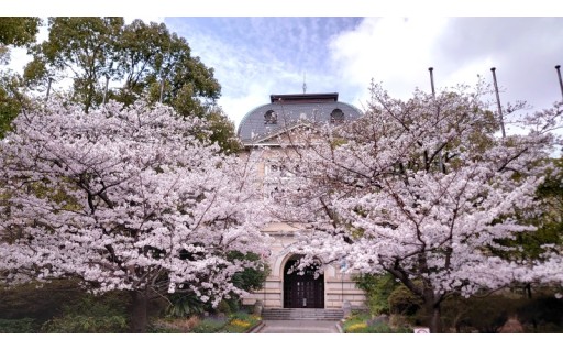桜を守ろうー外来生物対策応援コース