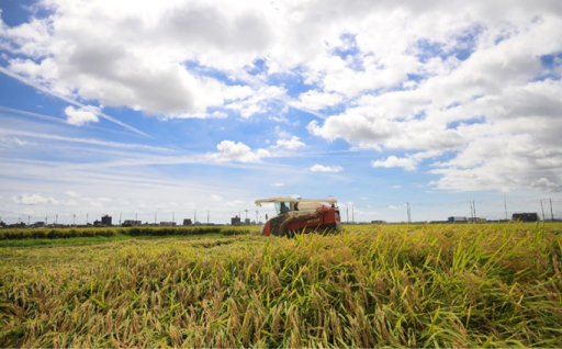 仙台の農業を応援