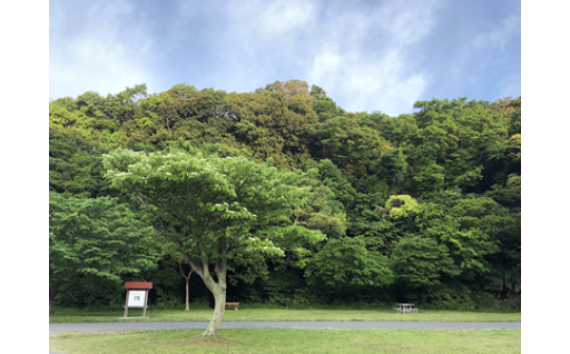 逗子の自然・環境を応援！