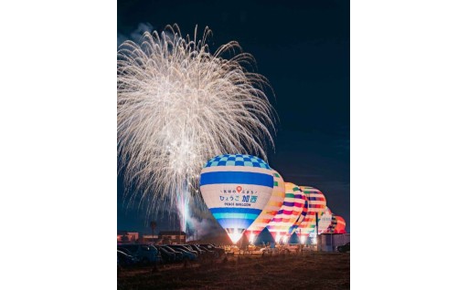 観光資源の維持や整備・公共交通の維持や整備																					
																						
