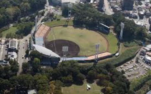 「スポーツ応援分」