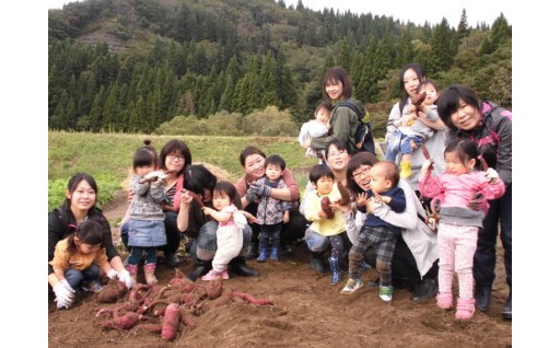 市民活動・市政運営に関する事業