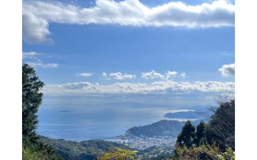 市長におまかせ