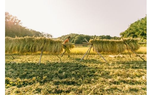 ④魅力があふれ人が集うまちづくり（産業・経済、環境・衛生、都市基盤）