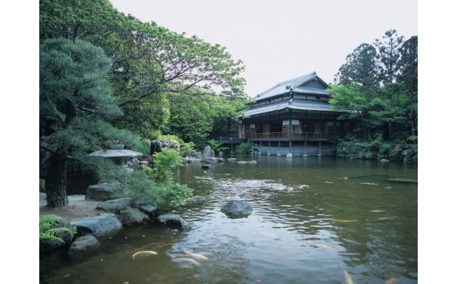 文化や伝統を未来へつなぐ日本庭園