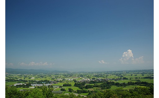 ６.町長おまかせ