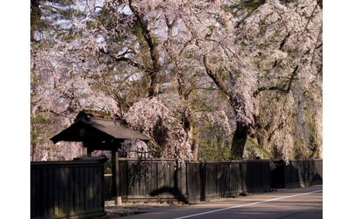 伝統文化を次世代へつなぐ事業