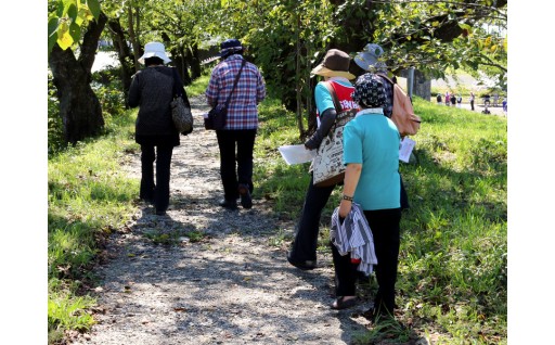 高齢者が安心に暮らすための事業