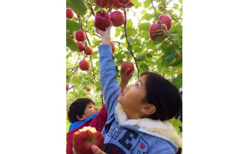 【浪岡地域振興】りんごと中世の里浪岡の地域振興のための取組など