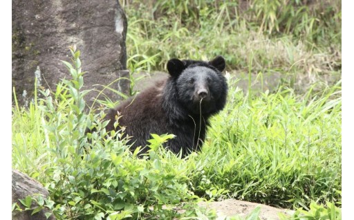 【環境】自然環境の保全と地球温暖化対策の推進など