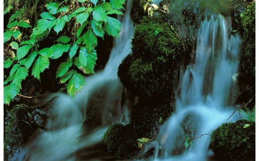 【水道】安全でおいしい水を　いつまでも　守り　育み　次世代への継承など