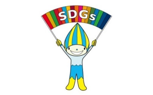 14.ＳＤＧｓ推進に向けた取組みの展開