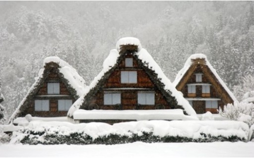 11.持続可能な観光地域づくりの推進