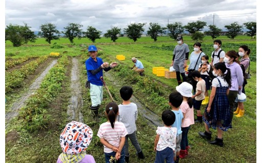 2-2-3.豊かな市民活動のまち応援事業[NORA]

